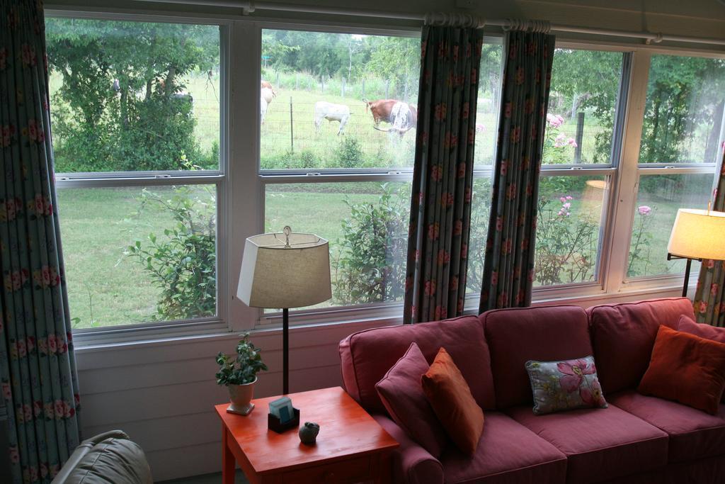 Onion Creek Cottage Austin Exteriör bild